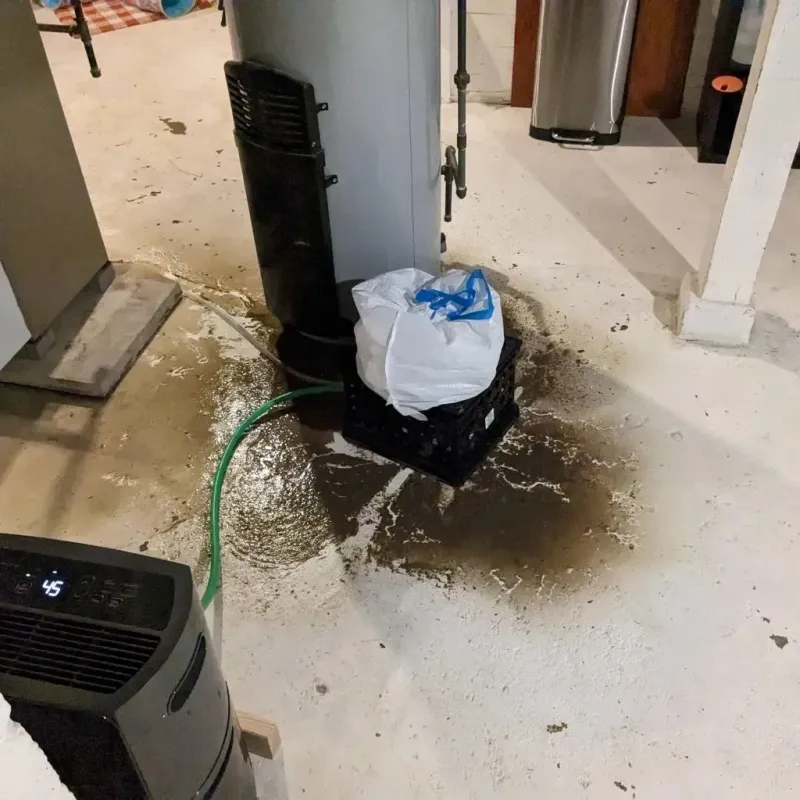 Sewage Backup Cleanup Service in Saint Ansgar, IA